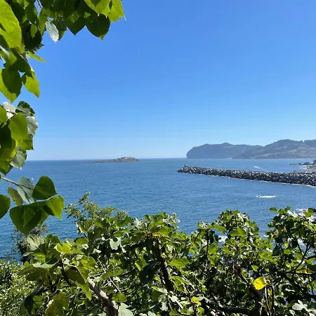 Bertoko Urdaibai Iii Bermeo